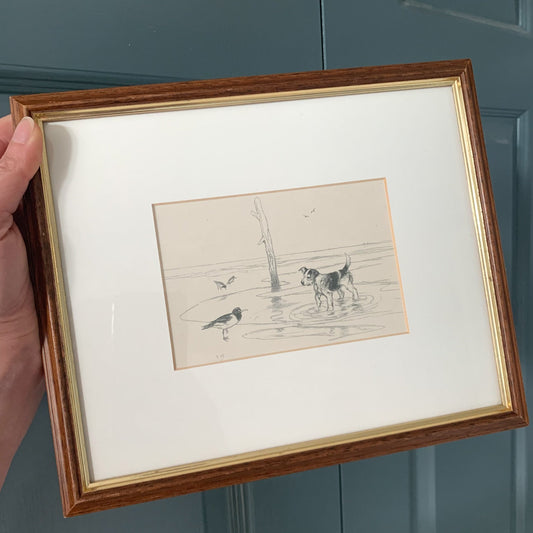 Framed Print — Dog & Seabird on the Beach
