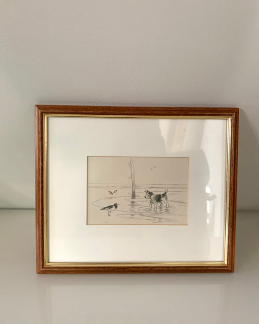 Framed Print — Dog & Seabird on the Beach